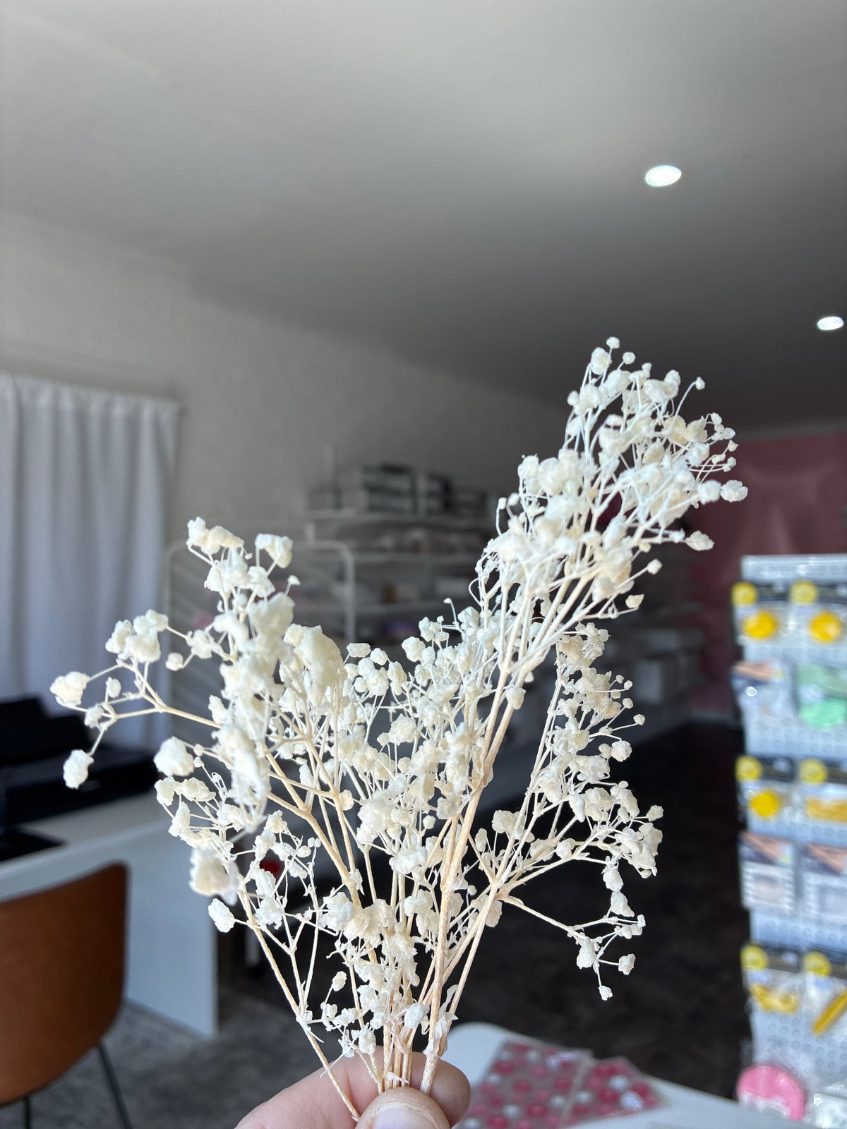Baby’s Breath
