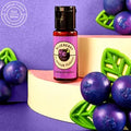 BLUEBERRY | FLAVOUR FUSION | 21ML