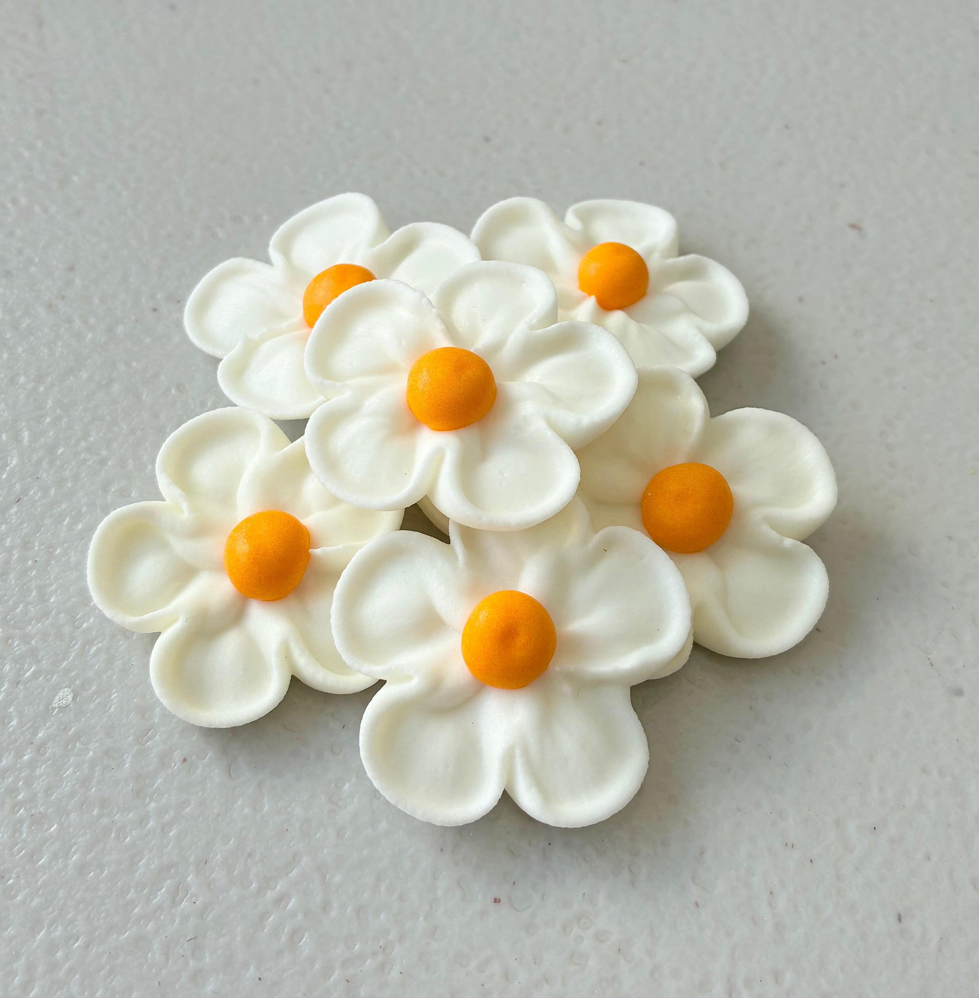 WHITE LARGE 5 PETAL - EDIBLE FLOWER