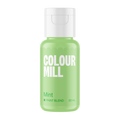 MINT | PASTEL PAINT BLEND | 20ML
