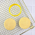 Round Circle Cutter