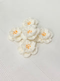 MINI DAINTY BESS - WHITE -EDIBLE FLOWER