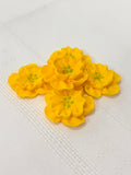 MINI DAINTY BESS - YELLOW - EDIBLE FLOWER