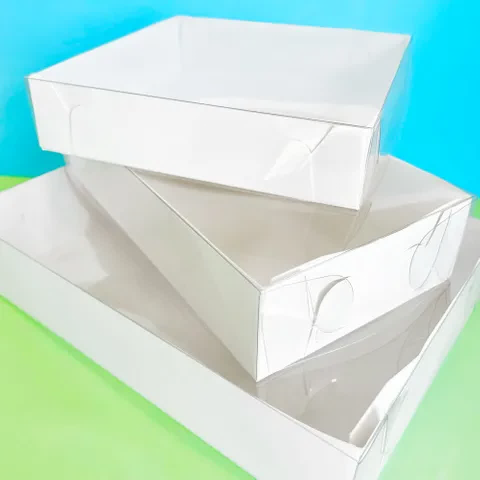 17.5 x 11.5 x 4 cm clear lid cookie box (REDUCED TO CLEAR)