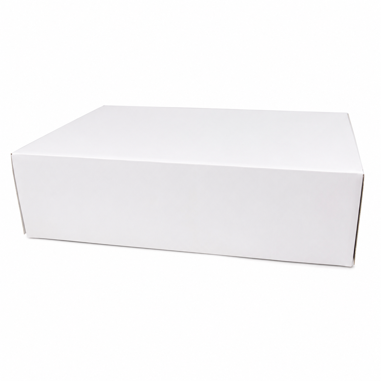 20 x 16 x 6 inch rectangle cake box